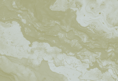 Hva koster ERP for små og mellomstore bedrifter? En ærlig prisguide